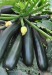 Zucchini Green - Image 2